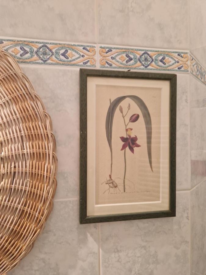At Monica's In - Stazione Labaro Apartment Rom